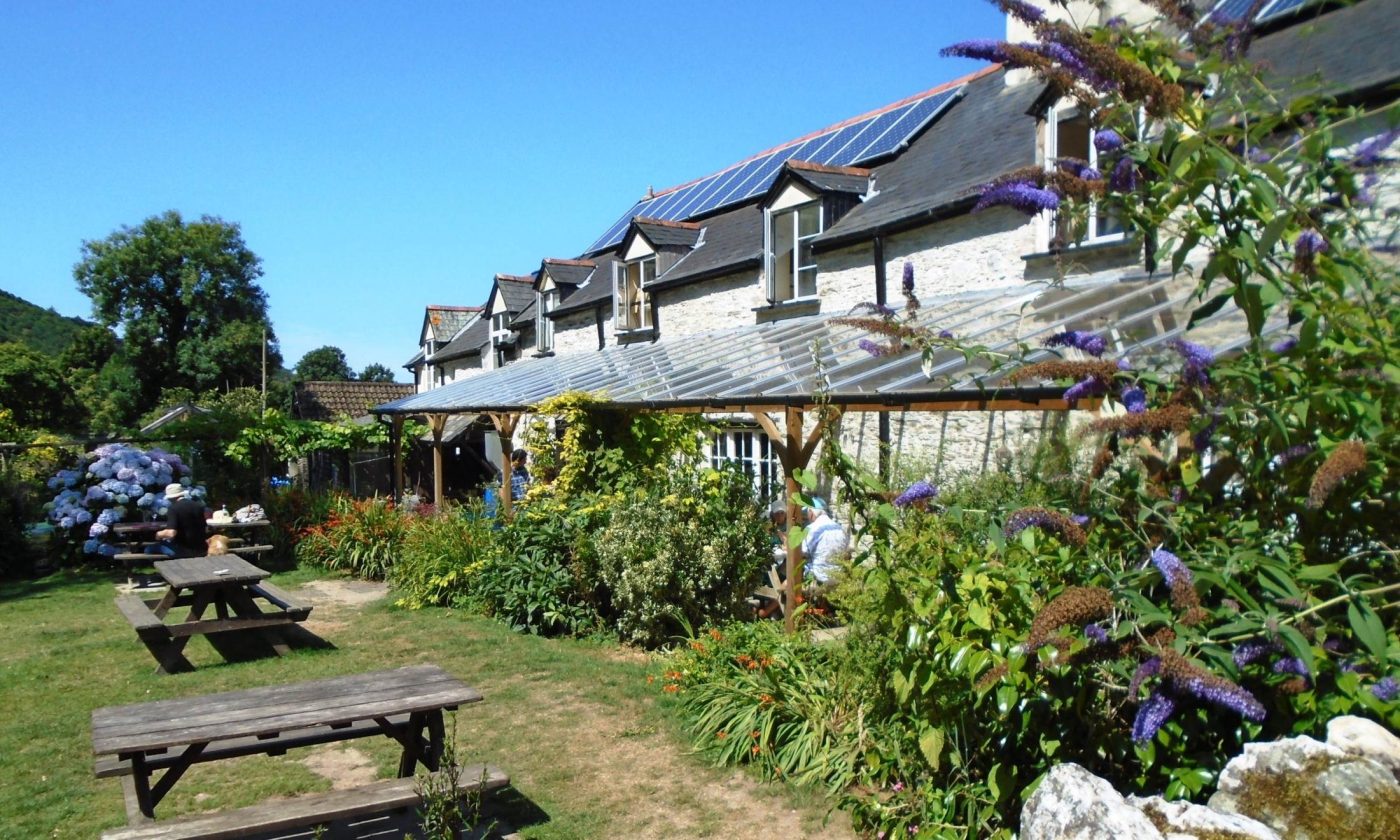 Pub garden at The Grampus Inn in Ilfracombe