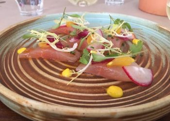 The Antidote restaurant in Ilfracombe