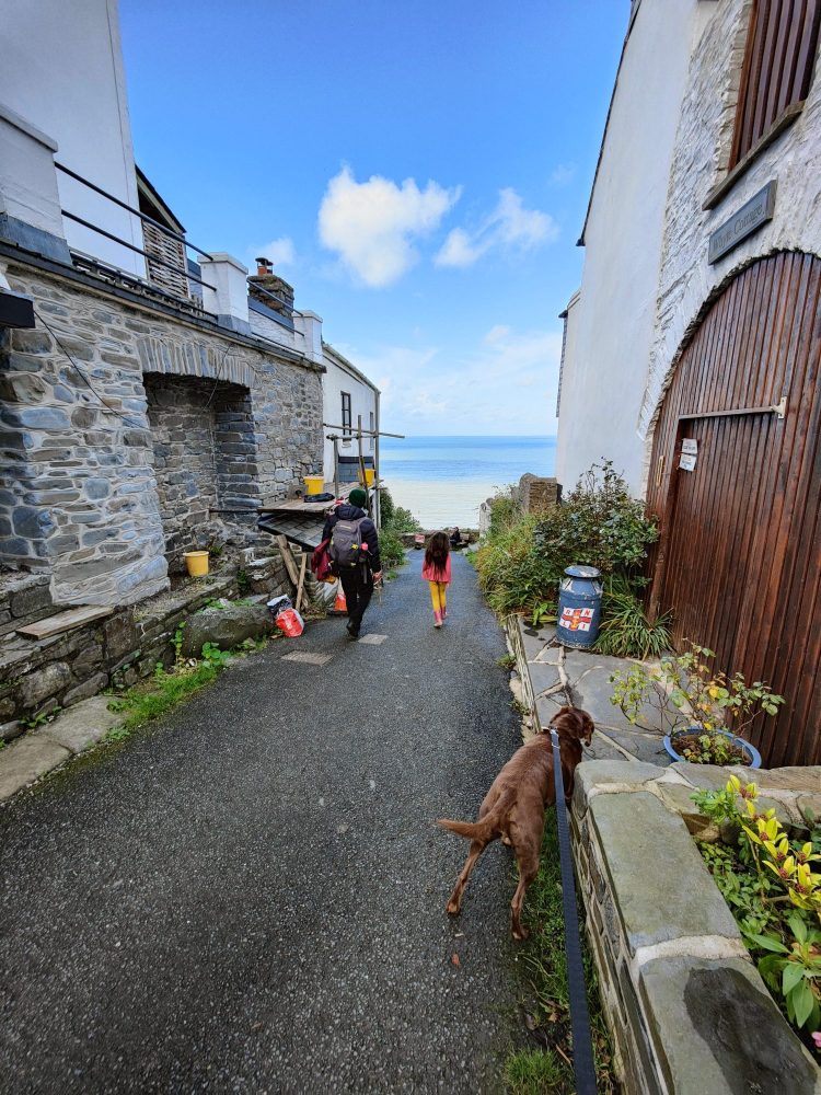 Road through Buck's Mills
