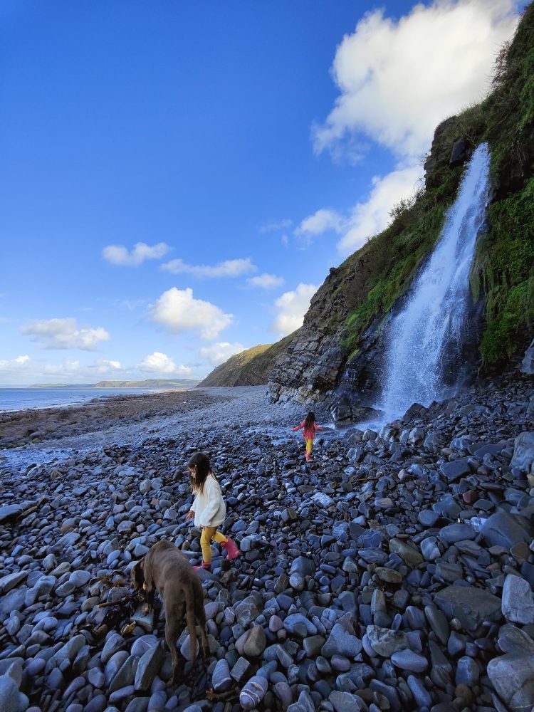 Family dog walk on North Devon beach