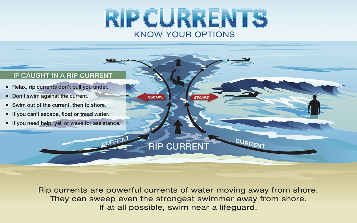 Infographic of beach safety tips showing what to do if caught in a rip current