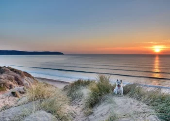 Walking the dog on a North Devon beach