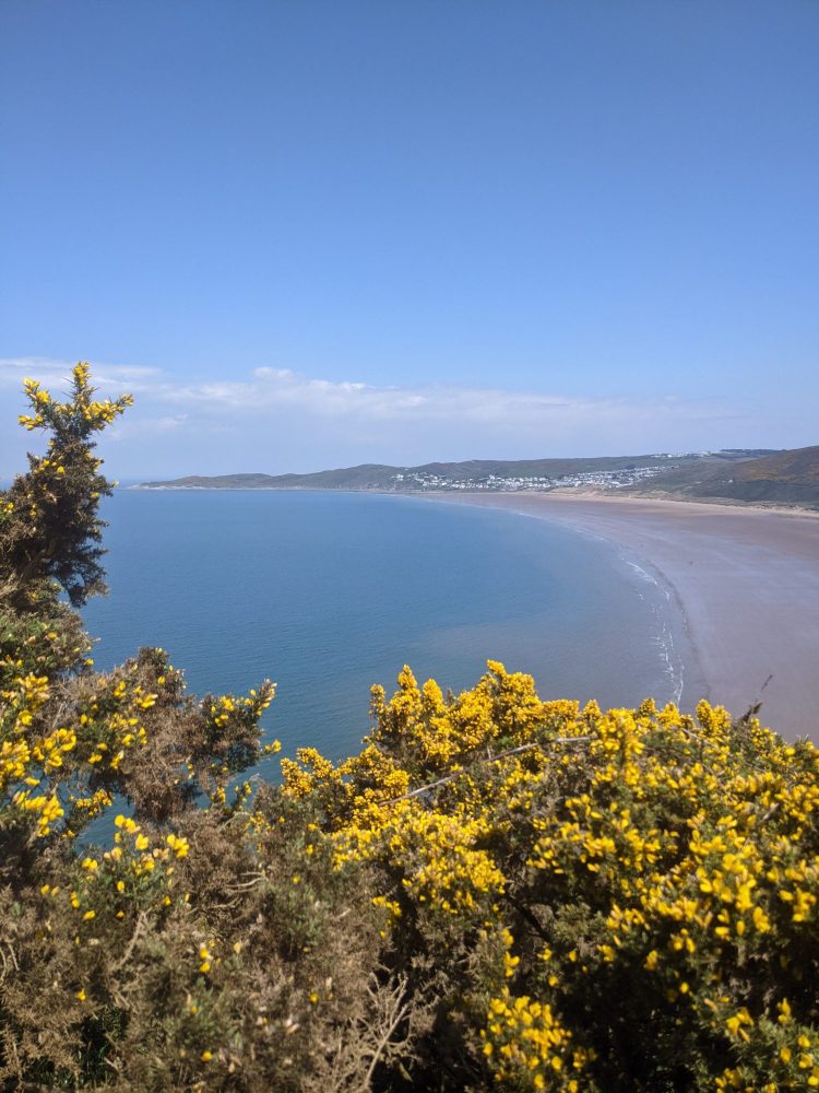 Devon beach view