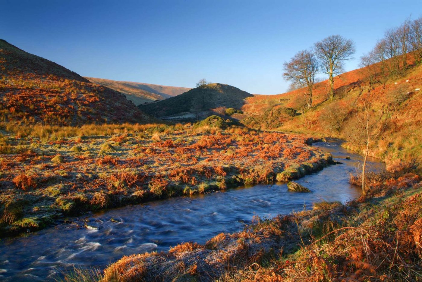 Country walk with autumn colours in North Devon during October