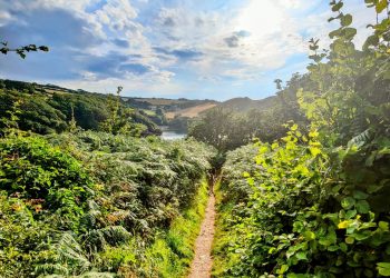 North Devon coastal path