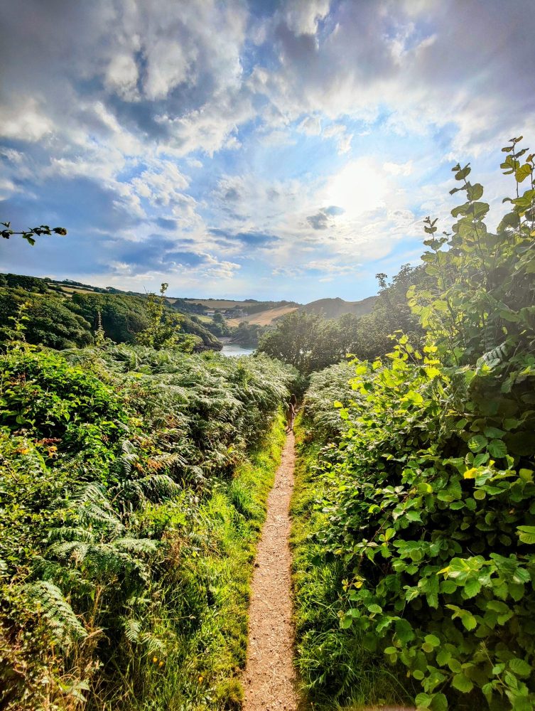 North Devon coastal paths make great photo opportunities