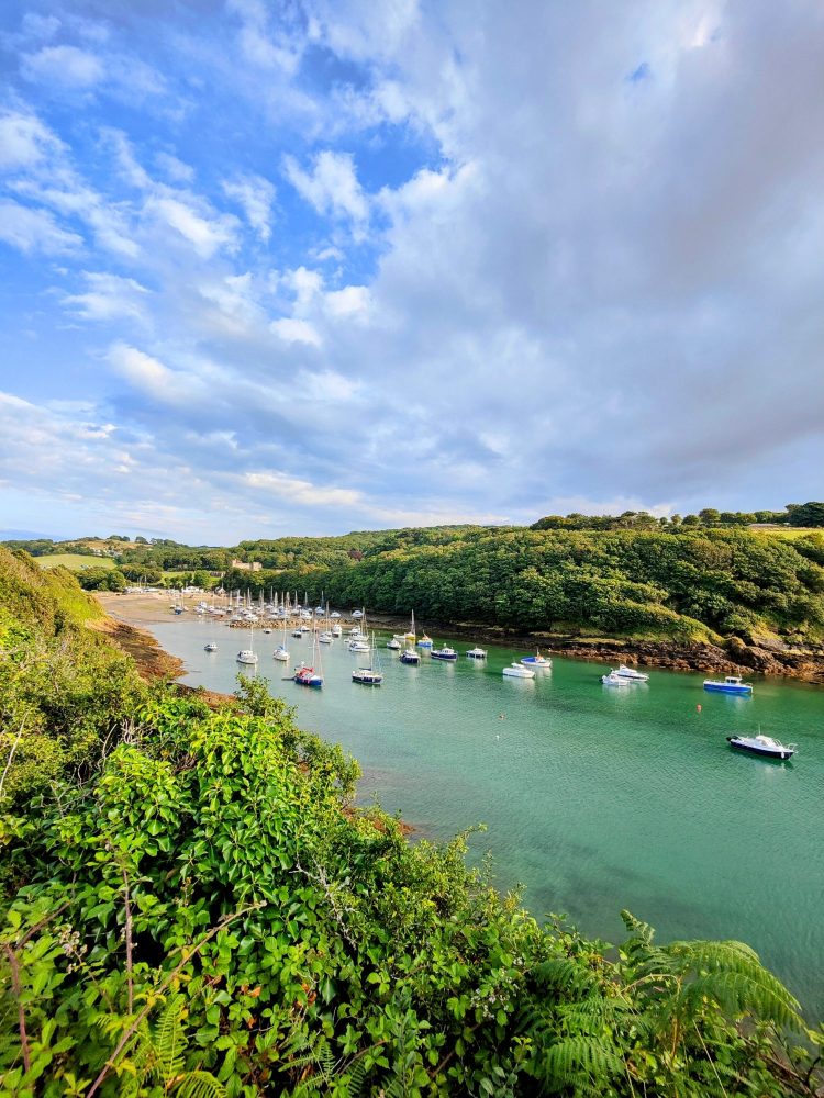 Boats in a North Devon harbour