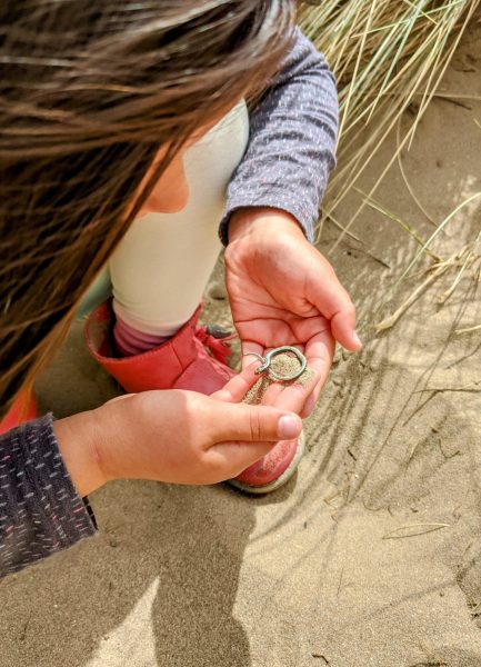 Hunting for slow worms in Crow Point sand dunes