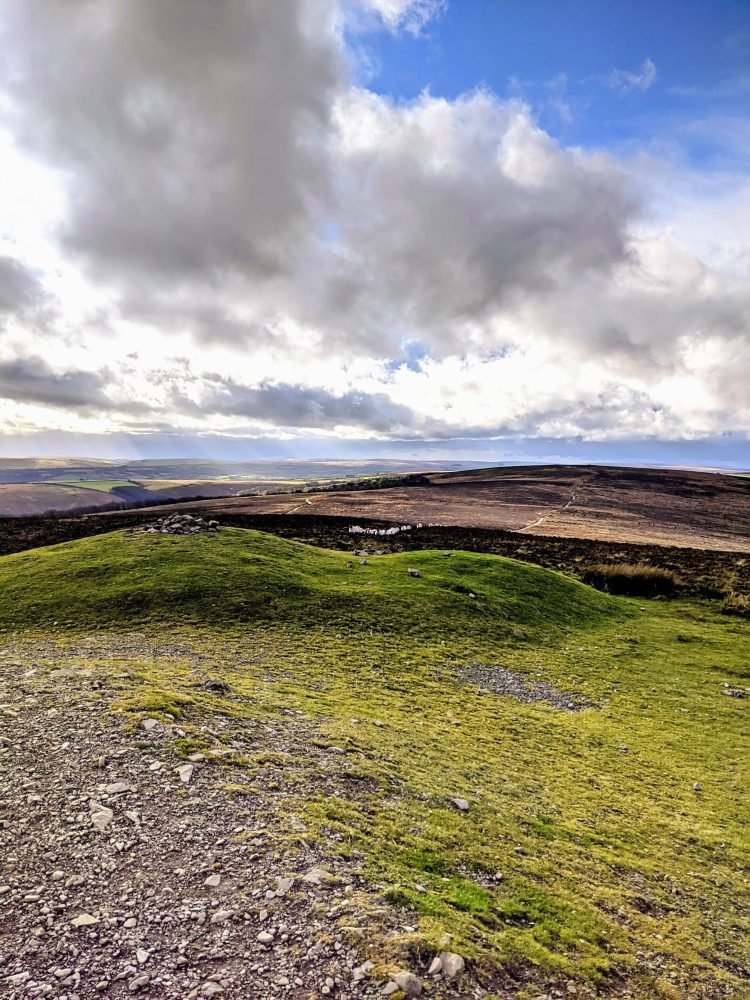 A herd of sheep in the distance at Dunkery Beacon