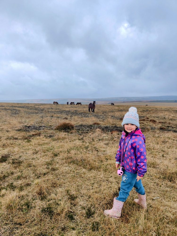 Child posing for picture with wild ponies in the background