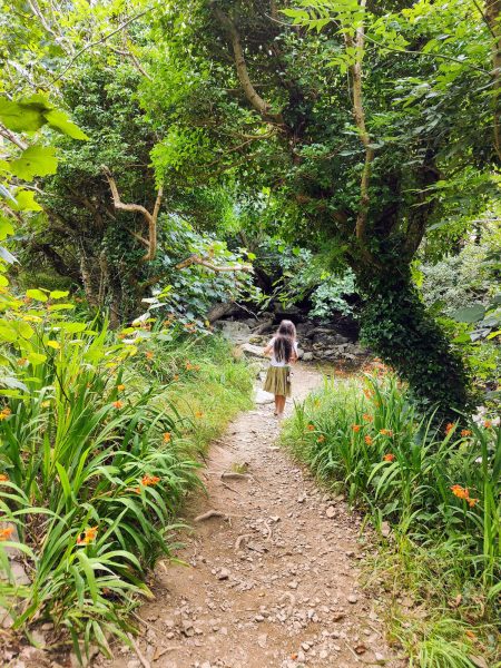 Exploring nature trails in North Devon