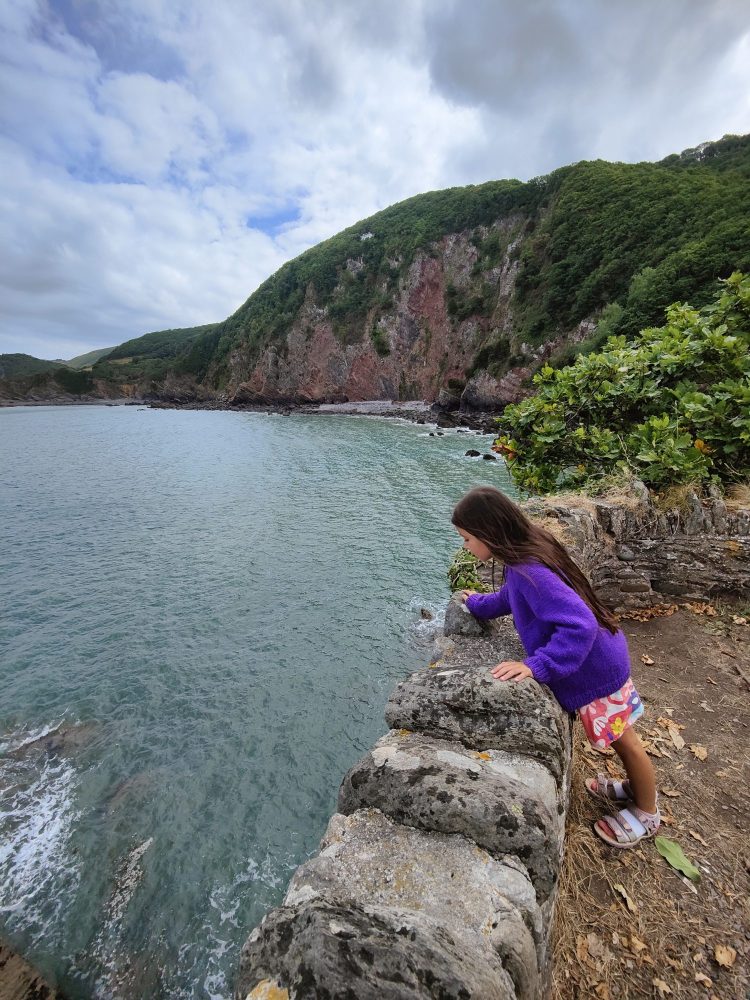 A child seal spotting in North Devon