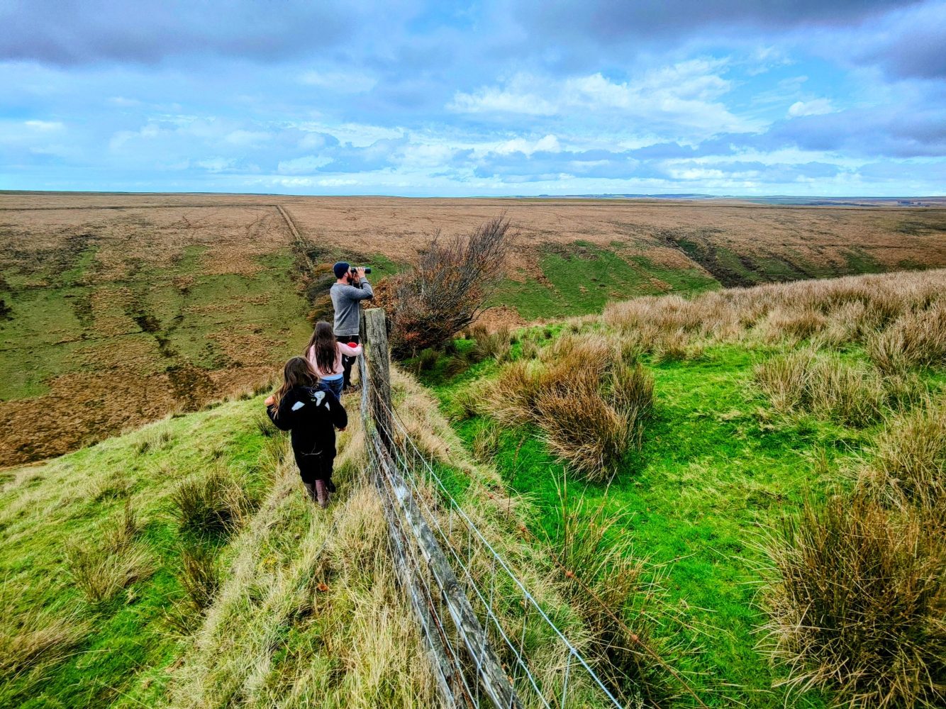 Deer spotting in North Devon